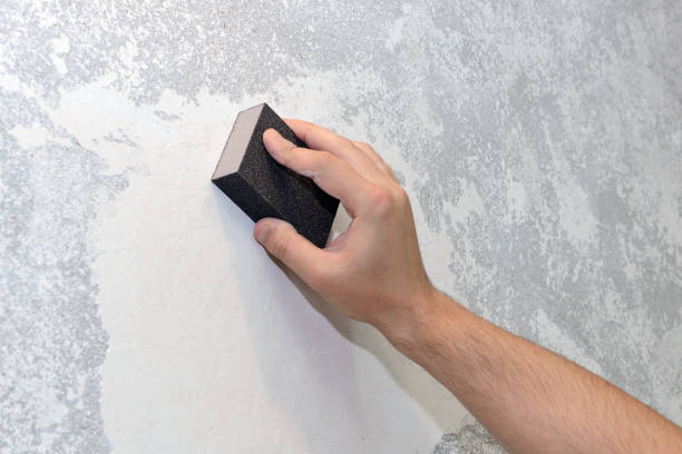  Monmouth, OR Mold Removal Pros