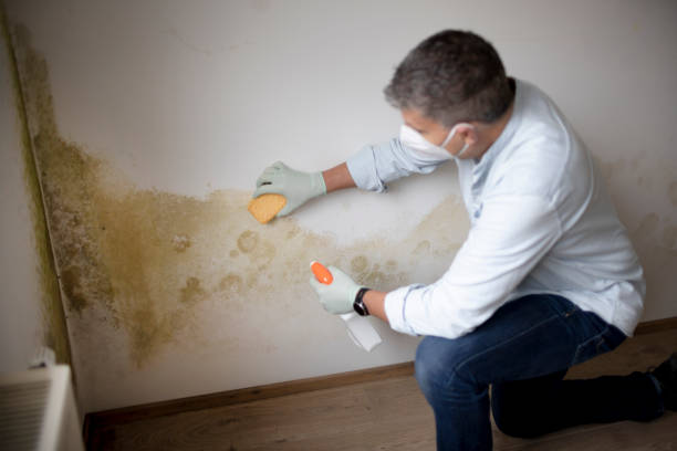 Best Air Quality Testing for Mold Spores  in Monmouth, OR