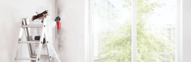 Biohazard Mold Removal in Monmouth, OR